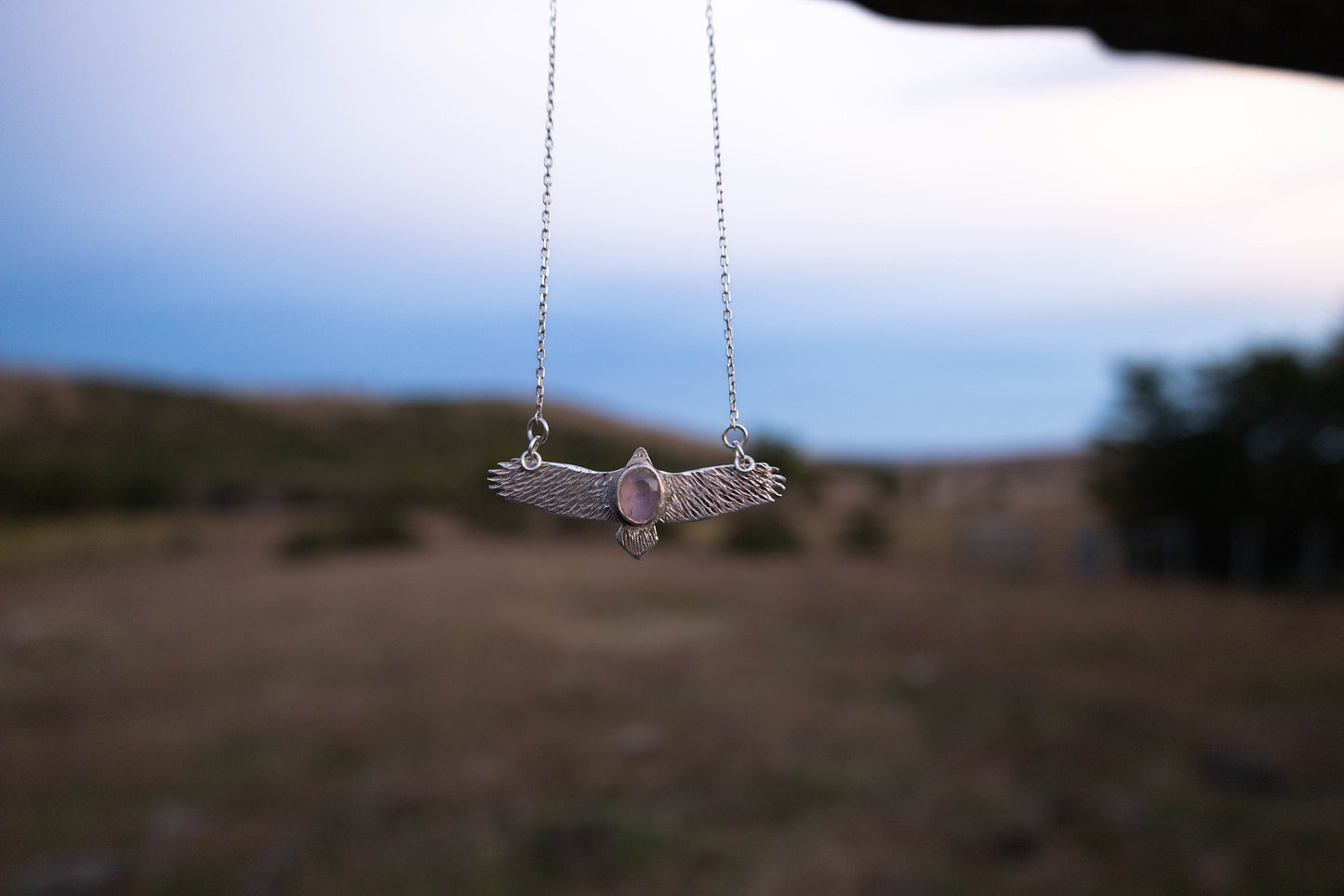 Cóndor fases lunares