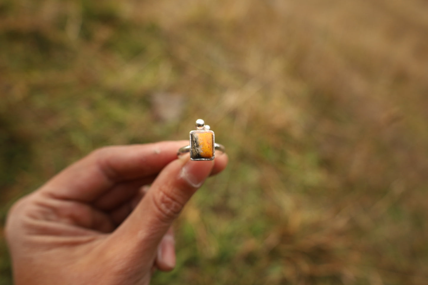 Anillo Abejorro