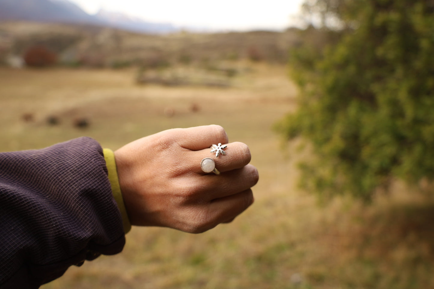 Anillo invierno