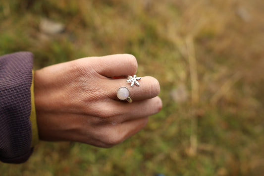 Anillo invierno