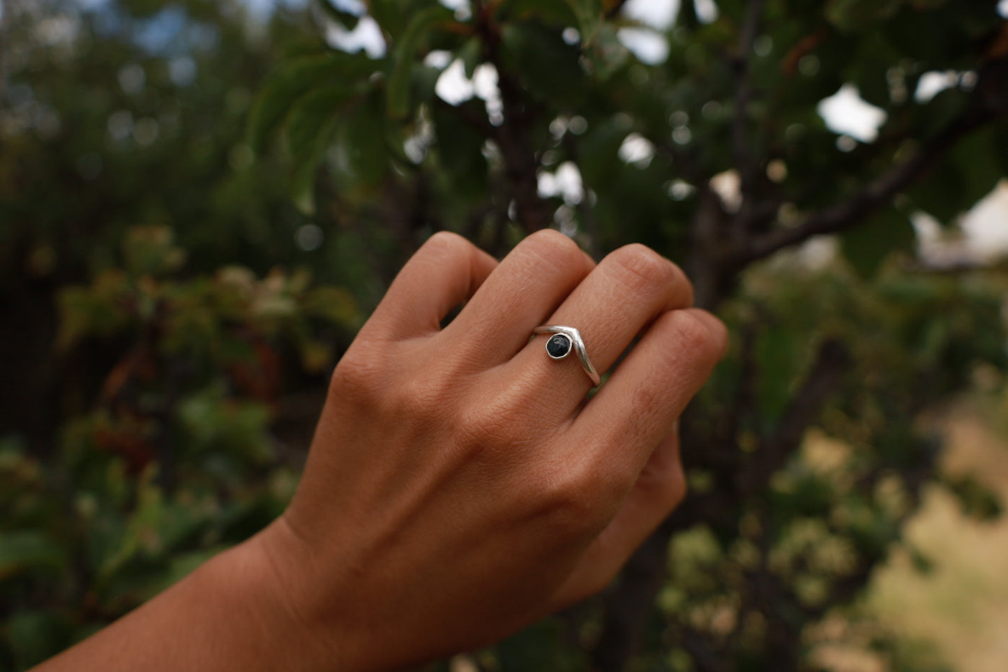 Anillo cumbre