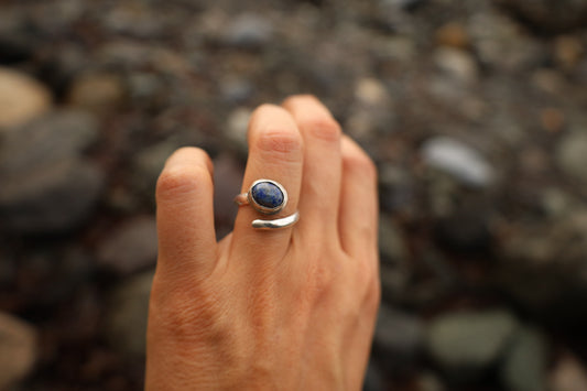 Anillo sendero