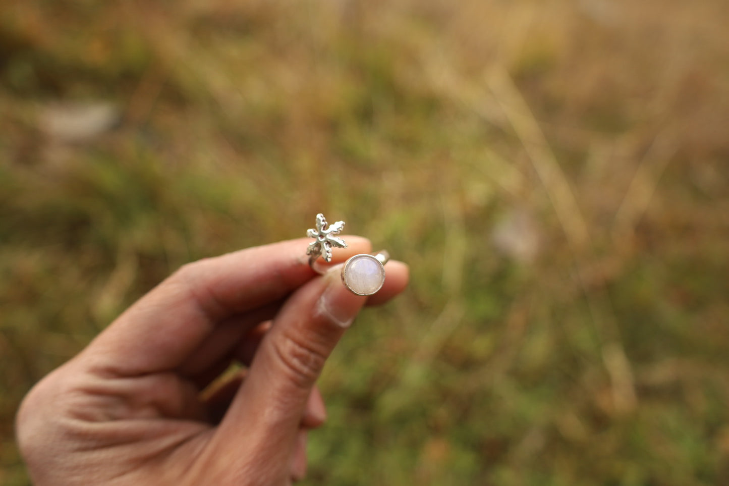 Anillo invierno