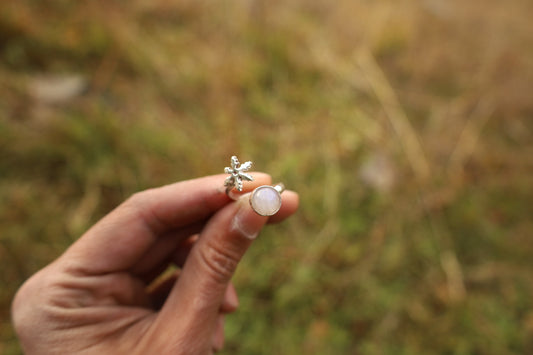 Anillo invierno