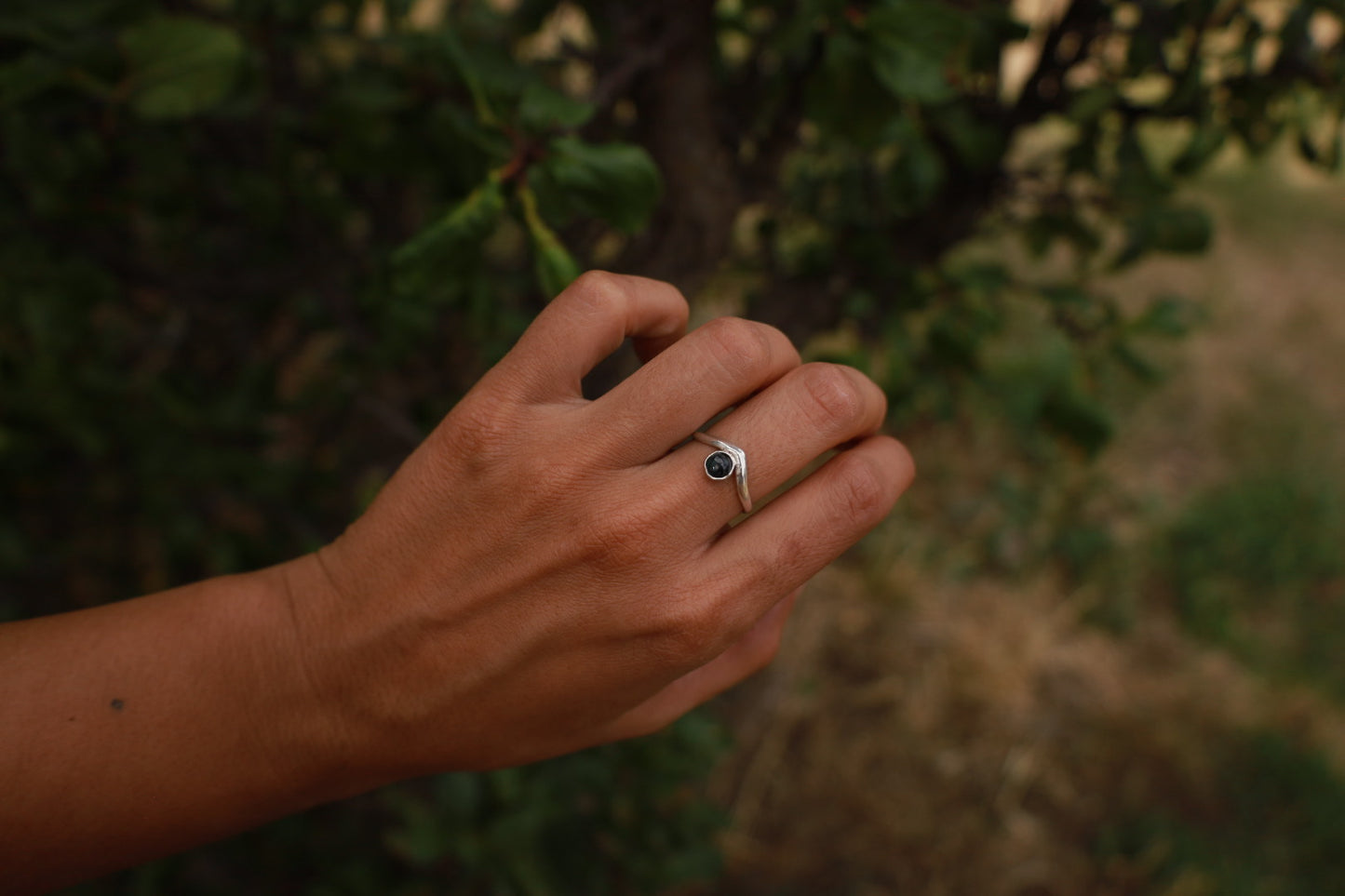 Anillo cumbre