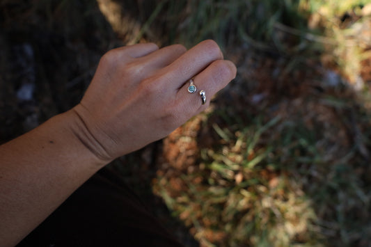 Anillo dual pelota